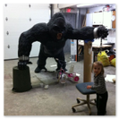 Silverback gorilla alpha almost complete