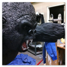 Silverback Alpha complete gorilla ready to go