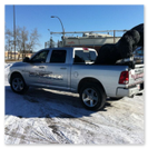 Silverback gorilla in truck on launch day