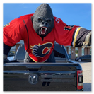 Silverback gorilla in flames jersey
