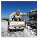 Silverback Alpha first time in the back of a truck