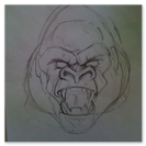 Silverback Alpha sketch